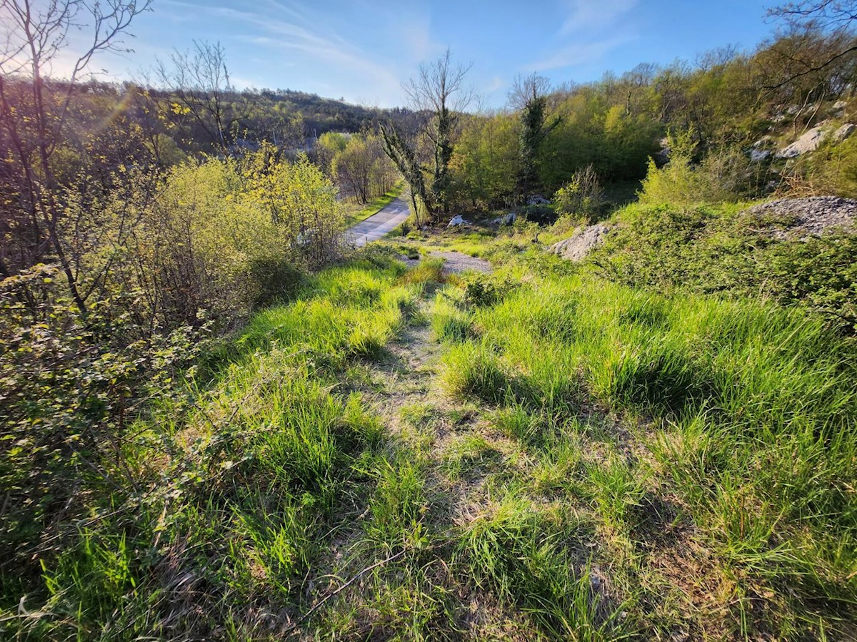 Cernik, Čavle, 3.136m2