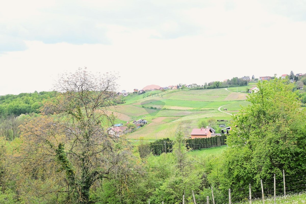 Hiša Donja Zelina, Sveti Ivan Zelina, 226m2