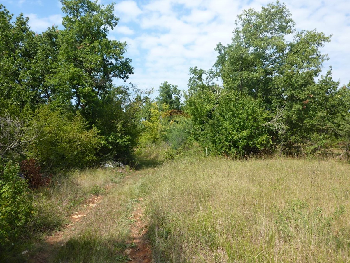 Stavbno zemljišče Baderna, Poreč, 14.850m2