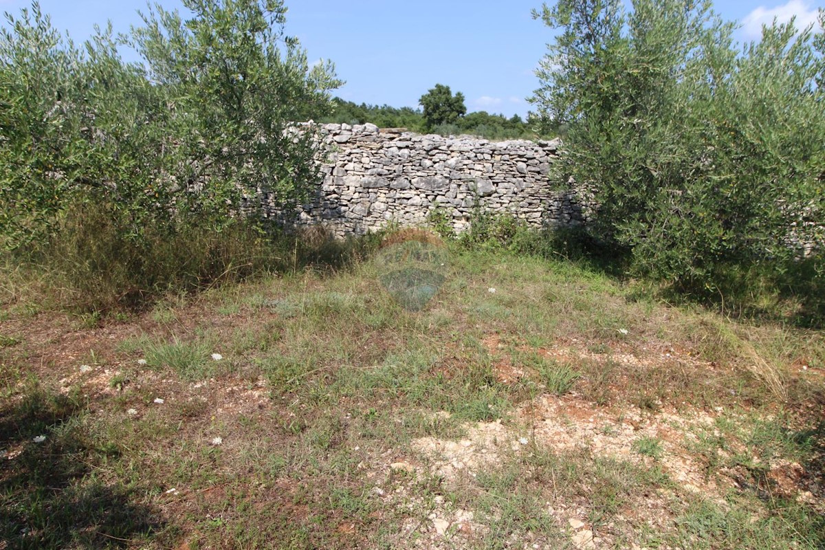 Stavbno zemljišče Majmajola, Vodnjan, 9.718m2