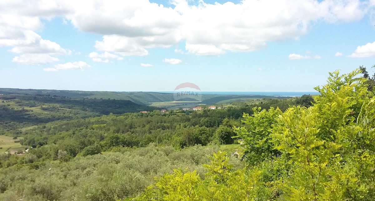 Stavbno zemljišče Buje, 2.524m2