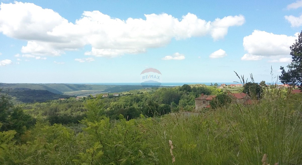 Stavbno zemljišče Buje, 2.524m2