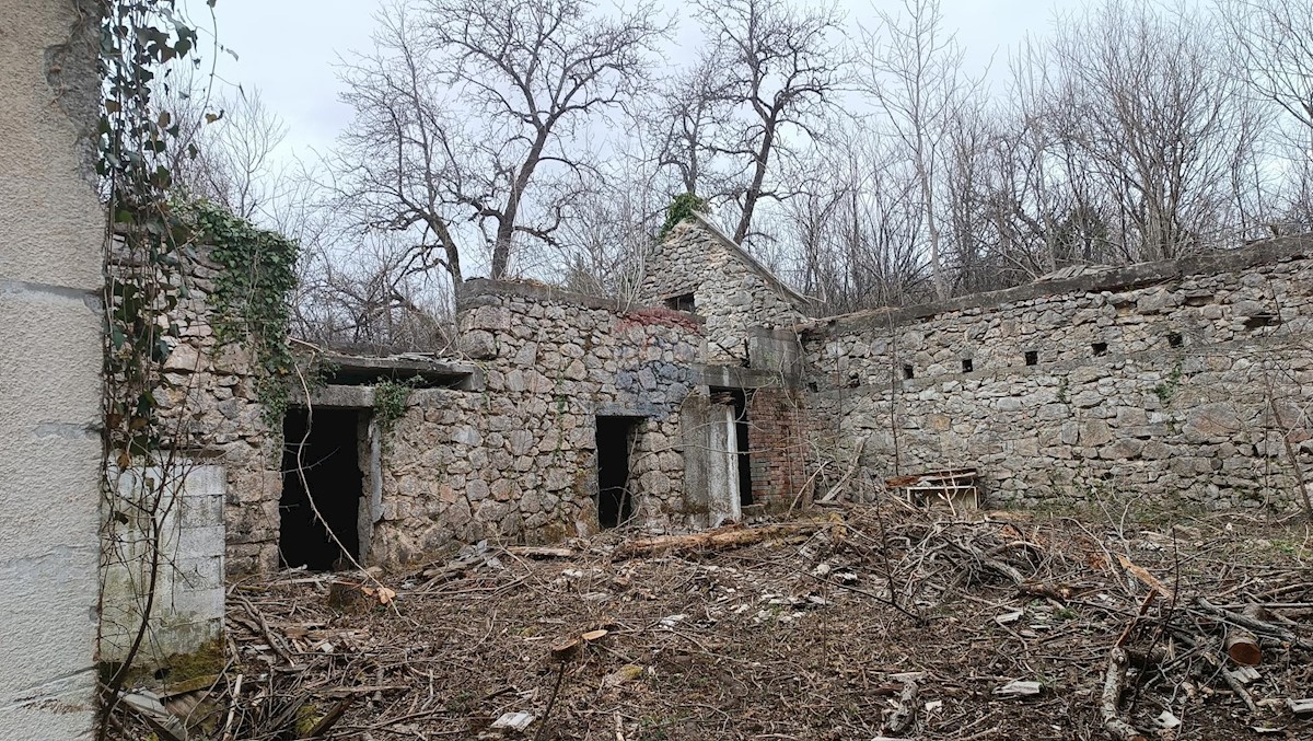 Hiša Janja Gora, Plaški, 625m2