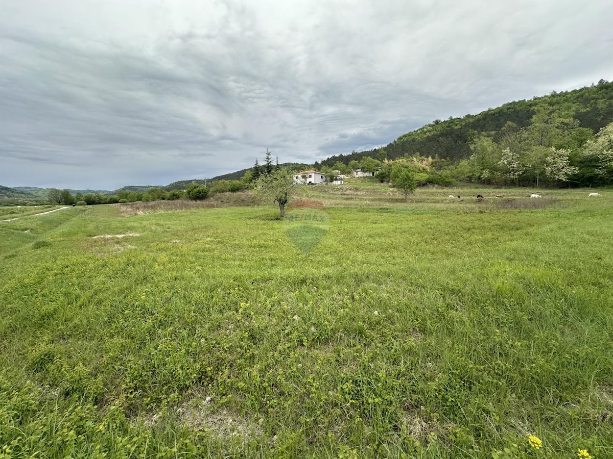 ISTRIA, GOLOGORIČKI DOL - Building plot 2618 m2