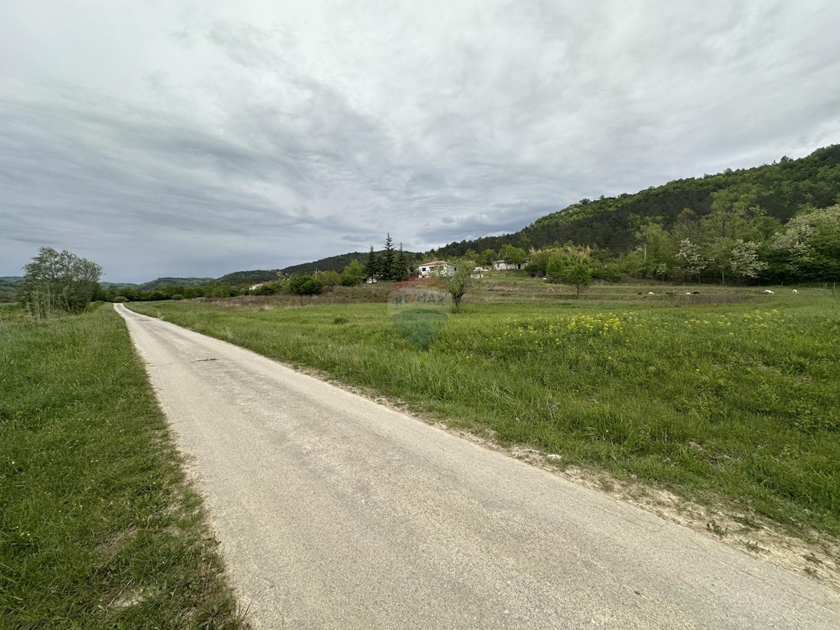 ISTRIA, GOLOGORIČKI DOL - Building plot 2618 m2