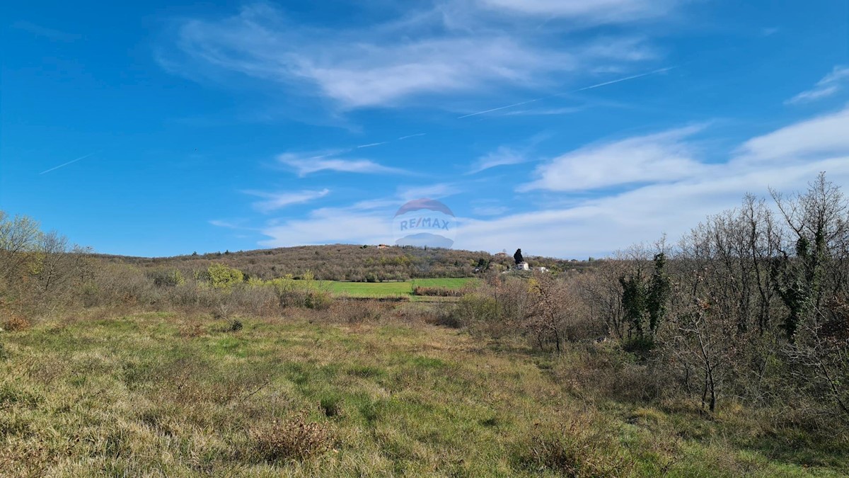 Stavbno zemljišče Sveti Lovreč, 11.628m2