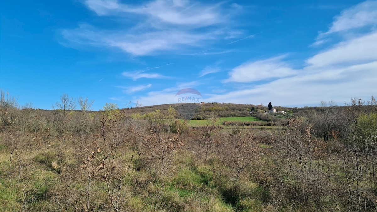 Stavbno zemljišče Sveti Lovreč, 11.628m2