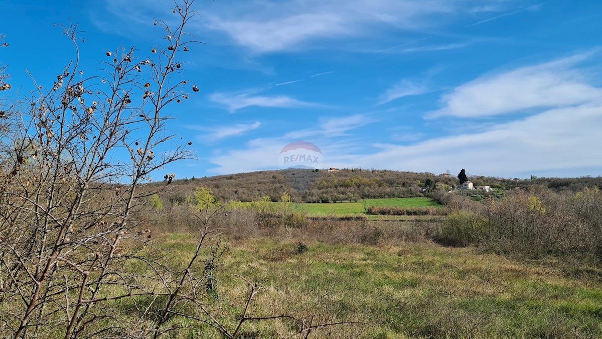 Stavbno zemljišče Sveti Lovreč, 11.628m2