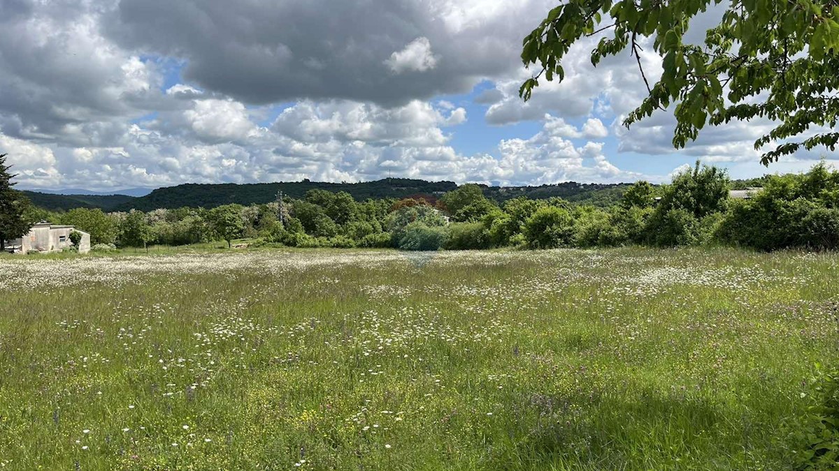 Stavbno zemljišče Tinjan, 7.195m2