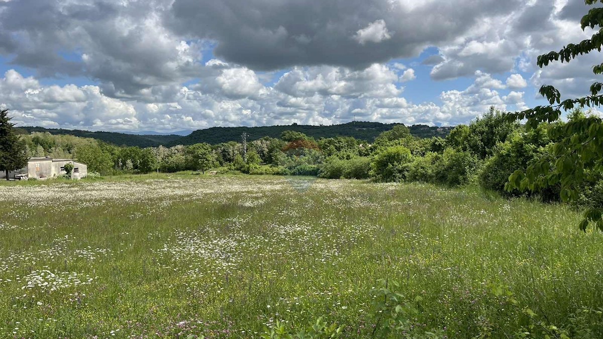 Stavbno zemljišče Tinjan, 7.195m2