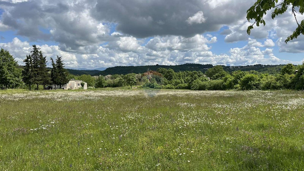 Stavbno zemljišče Tinjan, 7.195m2