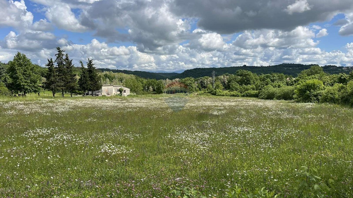 Stavbno zemljišče Tinjan, 7.195m2