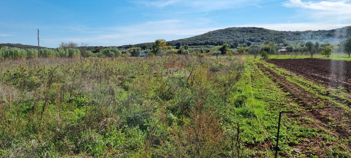 Stavbno zemljišče Rovinj, 5.000m2