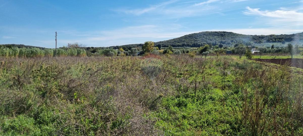 Stavbno zemljišče Rovinj, 5.000m2