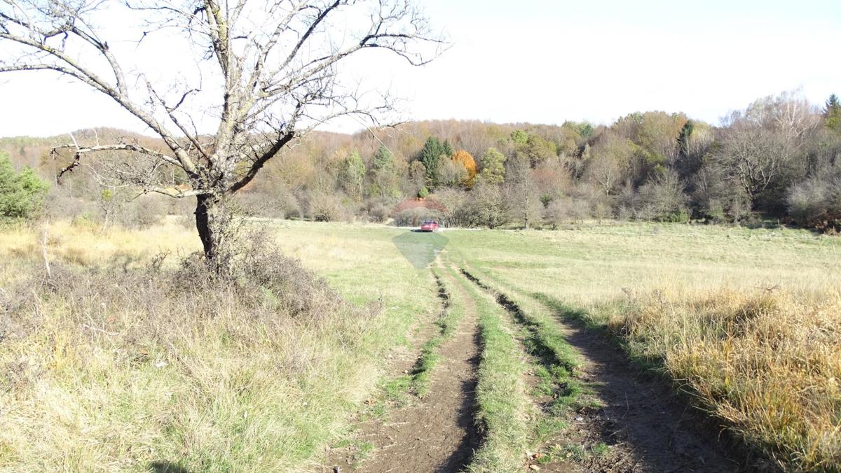 Stavbno zemljišče Klana, 14.790m2