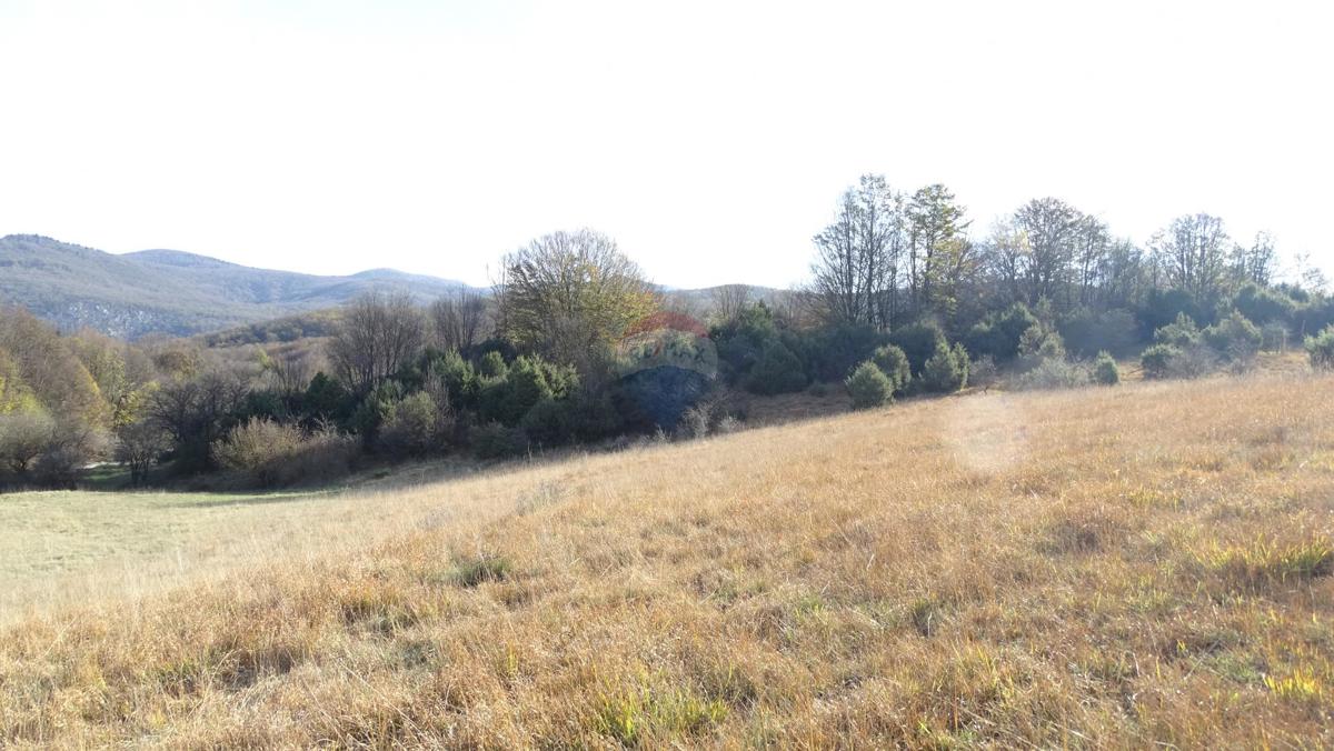 Stavbno zemljišče Klana, 14.790m2