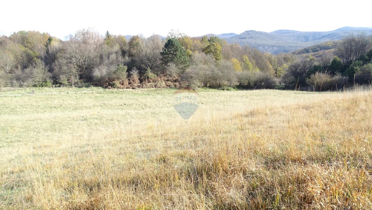 Stavbno zemljišče Klana, 14.790m2