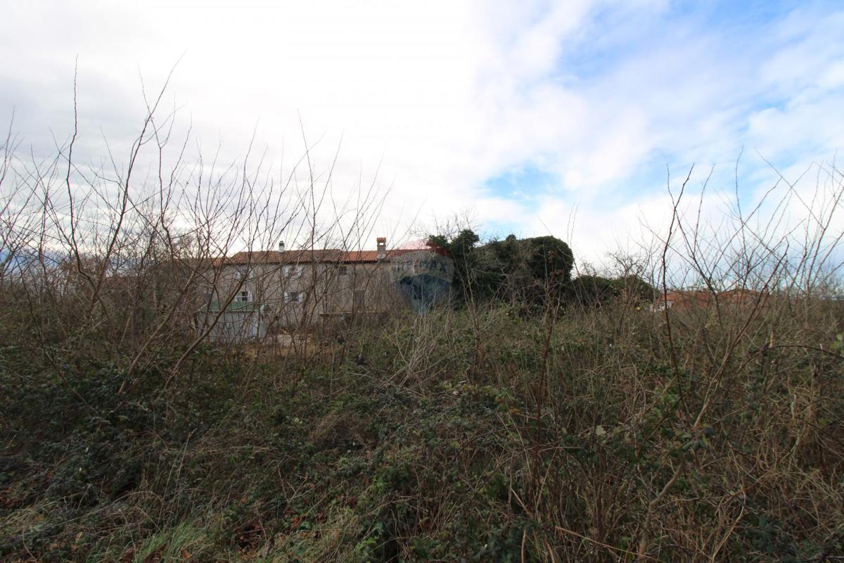 Hiša Staniši, Vižinada, 330m2