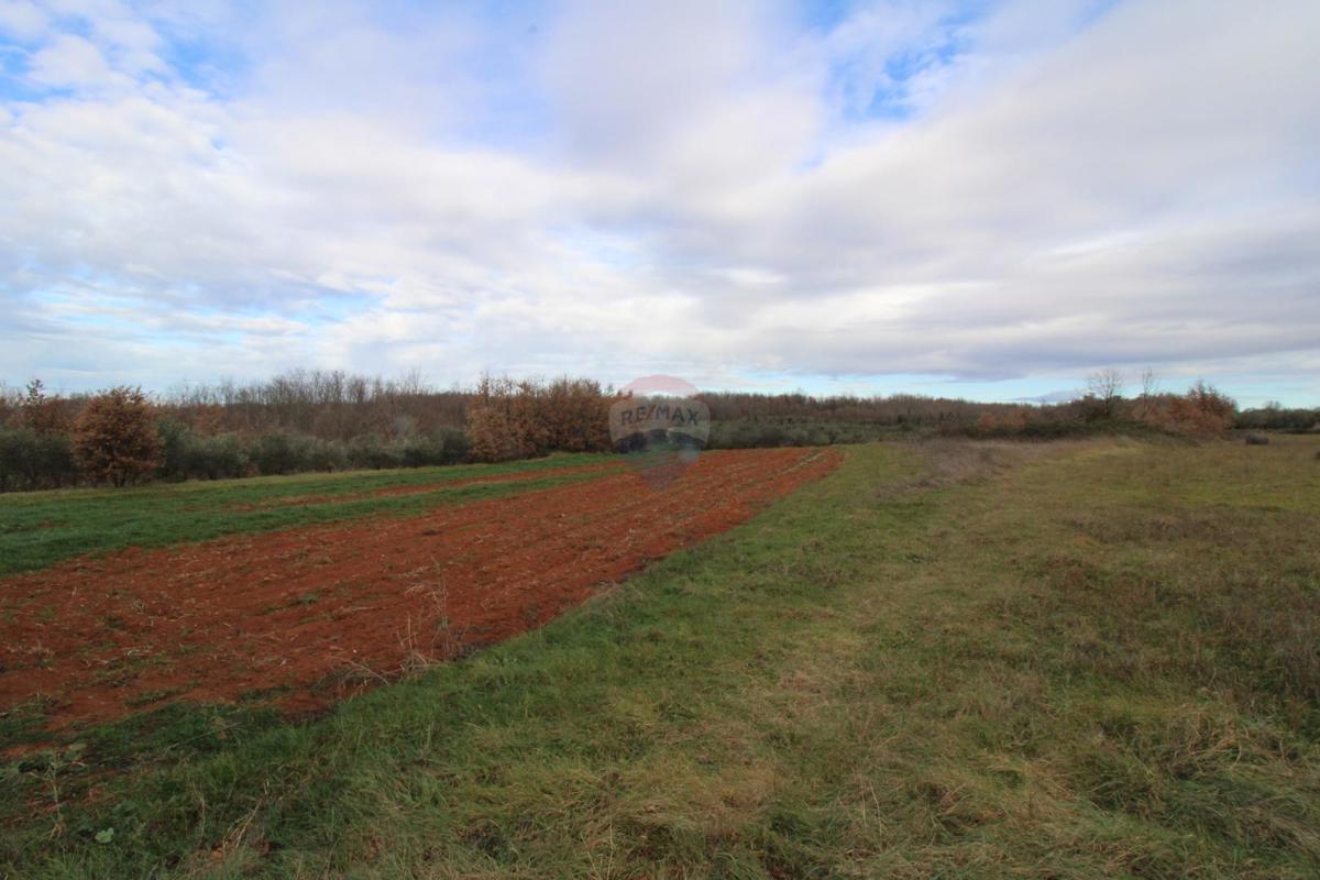 Hiša Staniši, Vižinada, 330m2