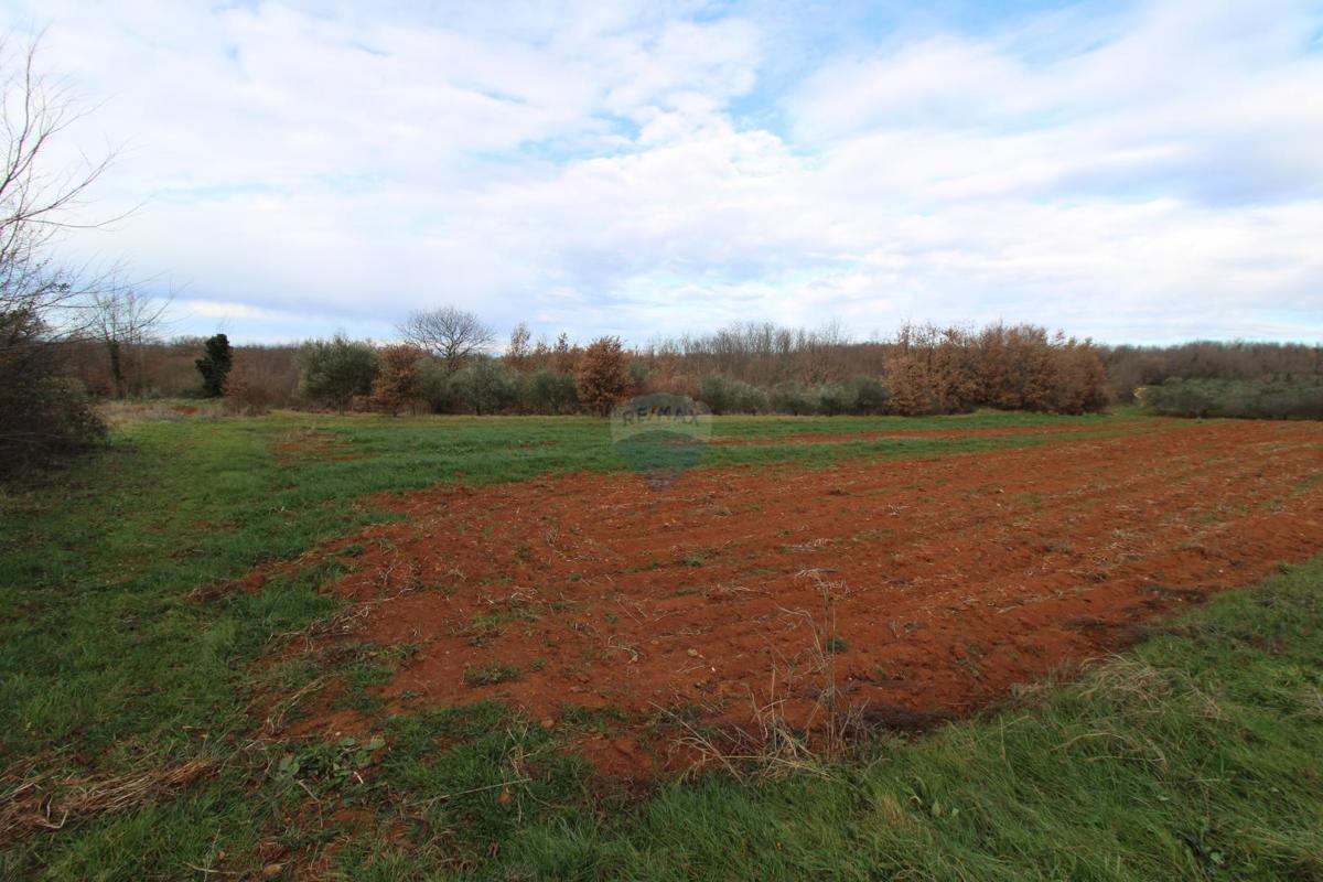 Hiša Staniši, Vižinada, 330m2