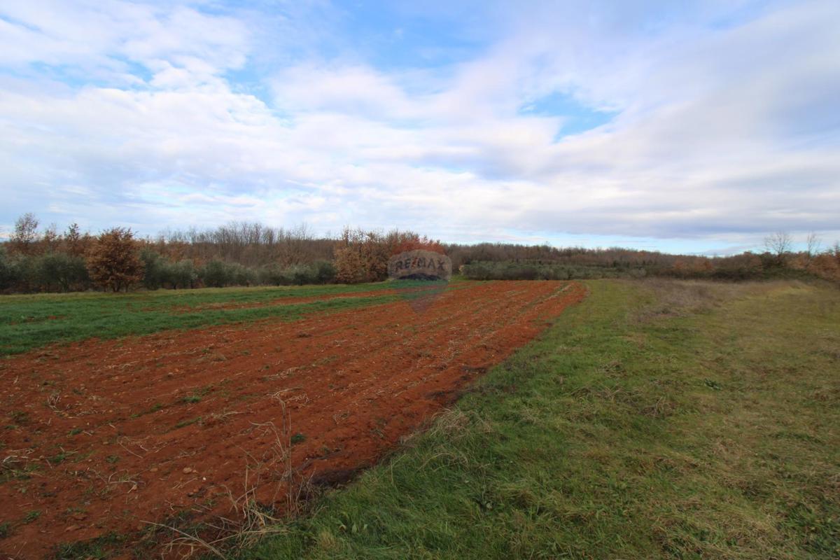 Hiša Staniši, Vižinada, 330m2