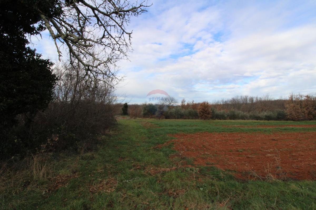 Hiša Staniši, Vižinada, 330m2
