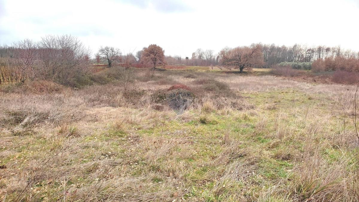 Stavbno zemljišče Umag, 5.682m2