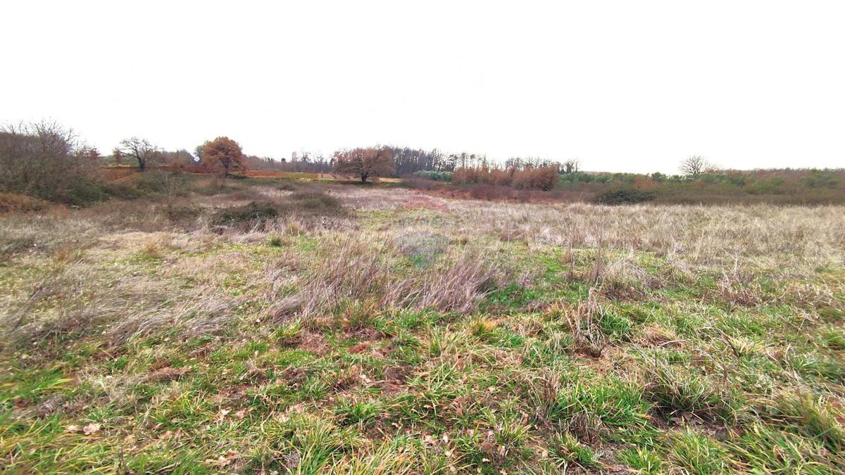 Stavbno zemljišče Umag, 5.682m2