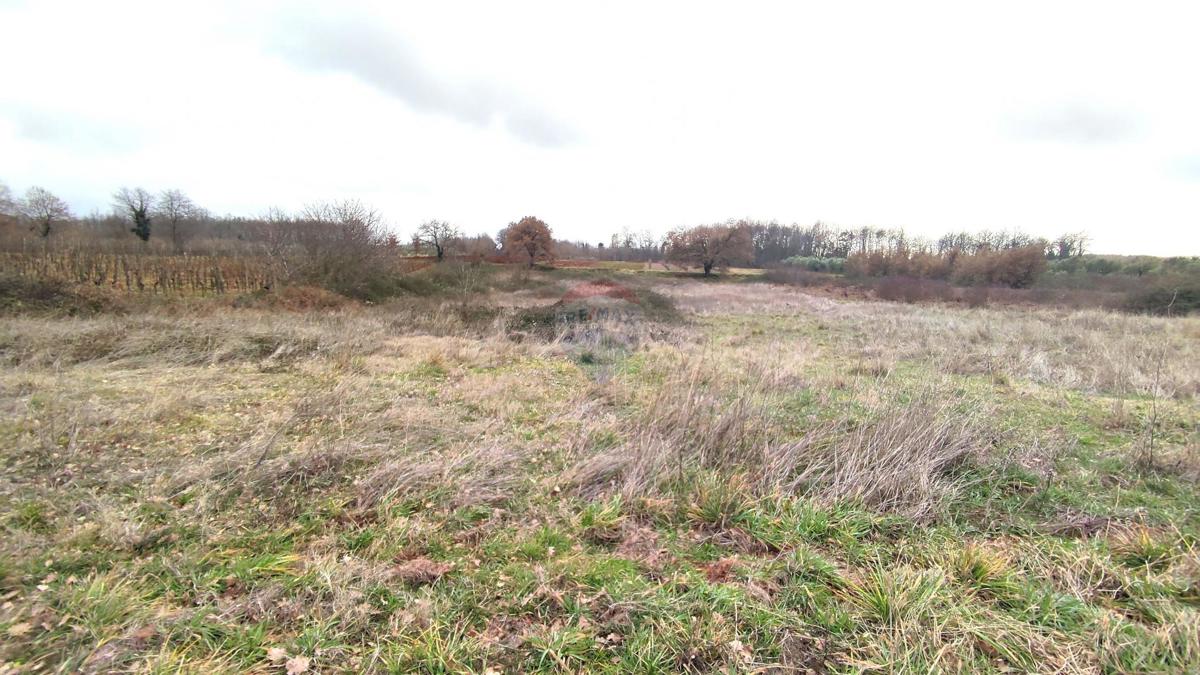 Stavbno zemljišče Umag, 5.682m2