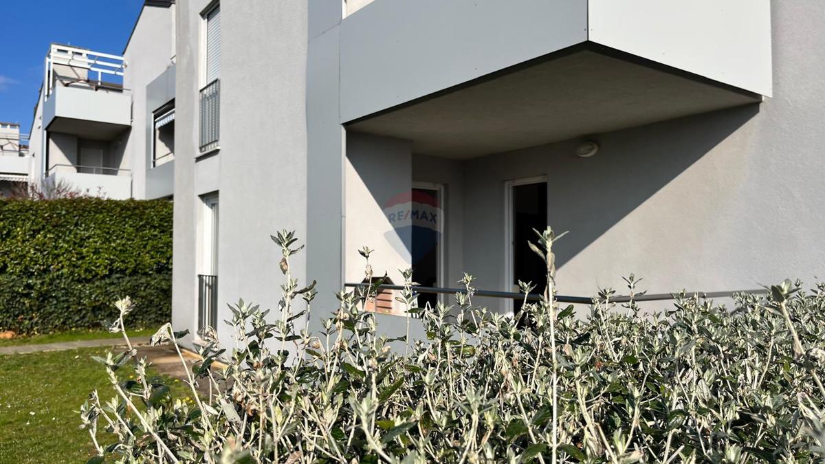  Istra, Novigrad, pritlično stanovanje z vrtom in bazenom