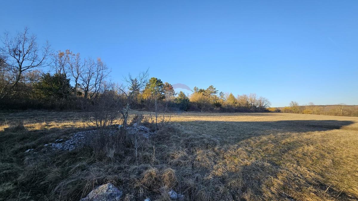 Stavbno zemljišče Grožnjan, 20.342m2