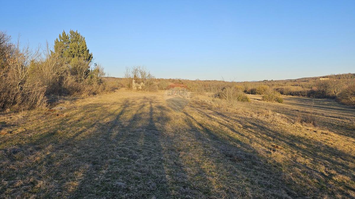 Stavbno zemljišče Grožnjan, 20.342m2