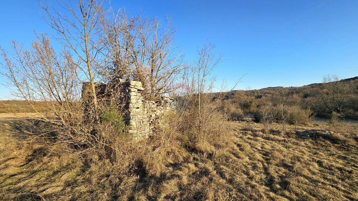 Stavbno zemljišče Grožnjan, 20.342m2