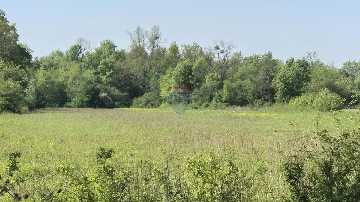 Stavbno zemljišče Bapča, Velika Gorica - Okolica, 14.750m2