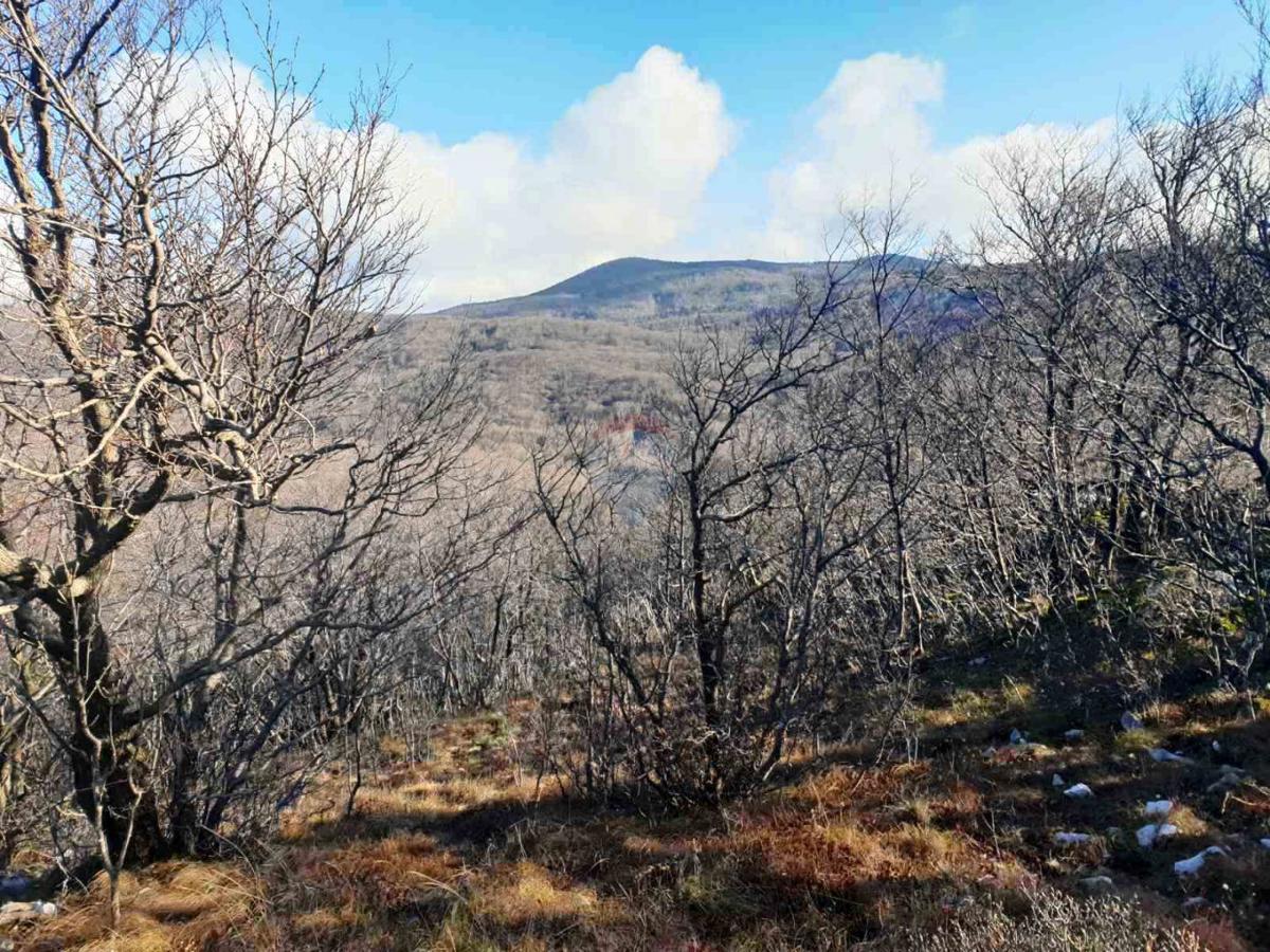 Stavbno zemljišče Hreljin, Bakar, 20.000m2