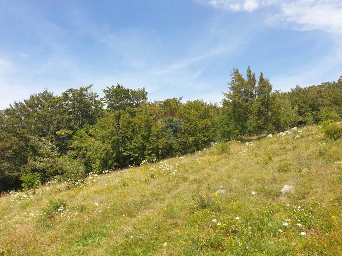 Stavbno zemljišče Hreljin, Bakar, 20.000m2