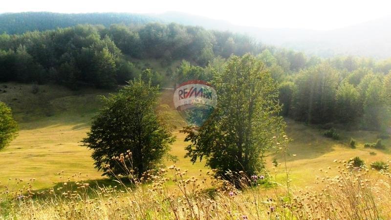 Stavbno zemljišče Jelenje, 5.004m2