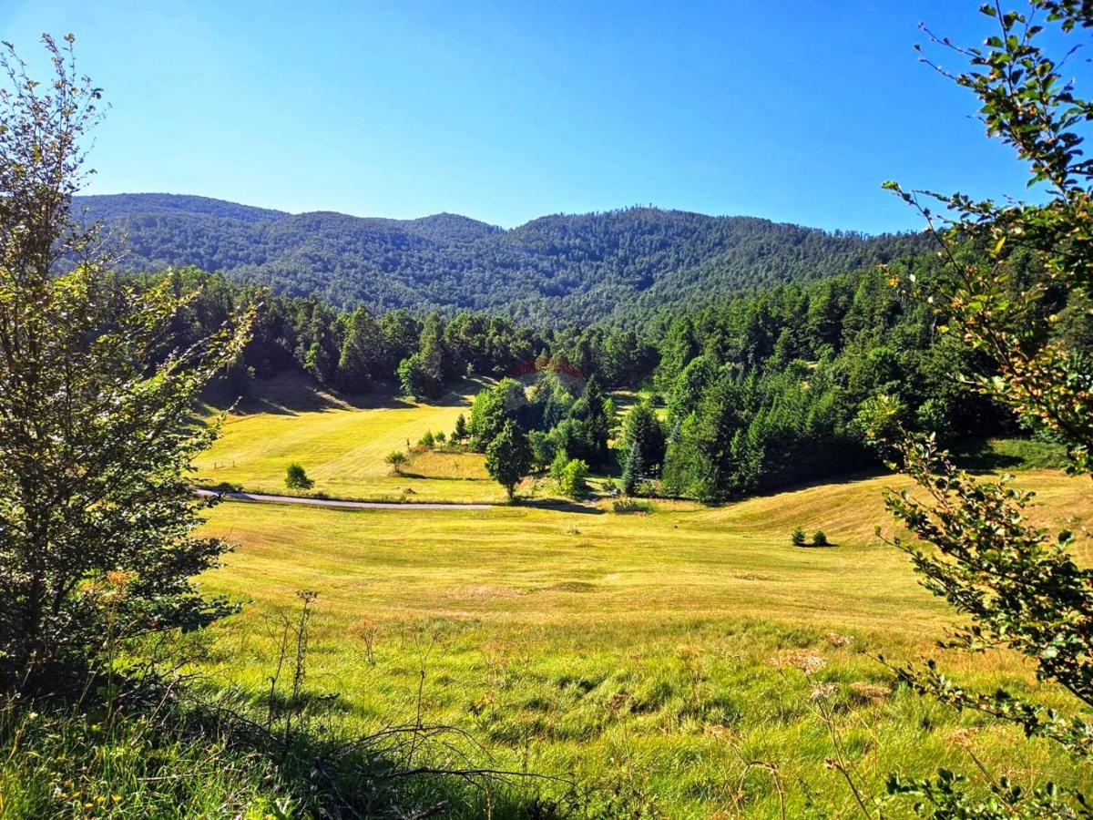 Stavbno zemljišče Jelenje, 5.004m2