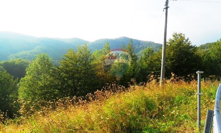 Stavbno zemljišče Jelenje, 5.004m2