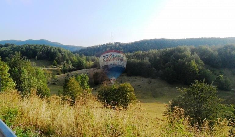 Stavbno zemljišče Jelenje, 5.004m2