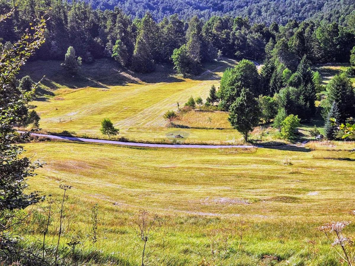 Stavbno zemljišče Jelenje, 5.004m2