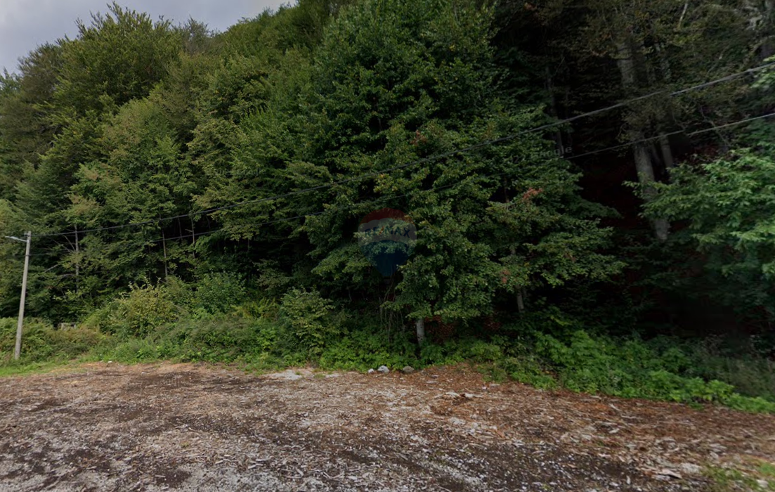 Stavbno zemljišče Skrad, 1.530m2