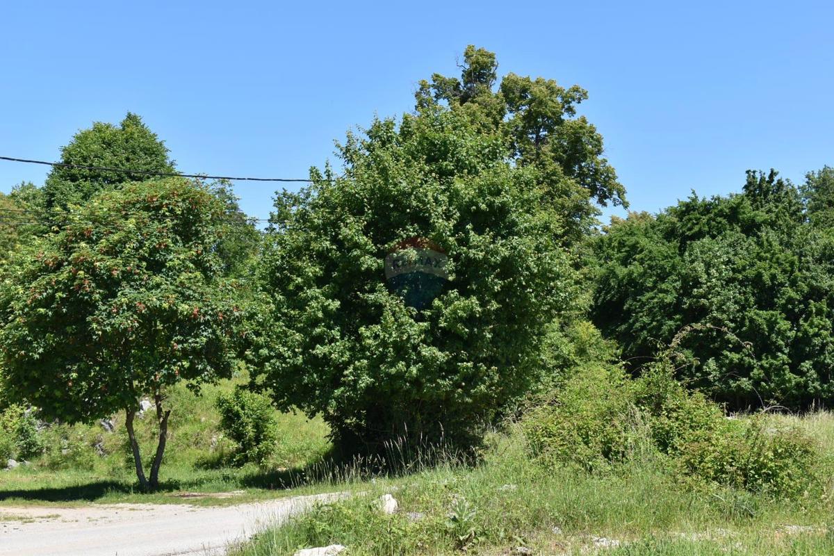 Stavbno zemljišče Mučići, Matulji, 13.802m2