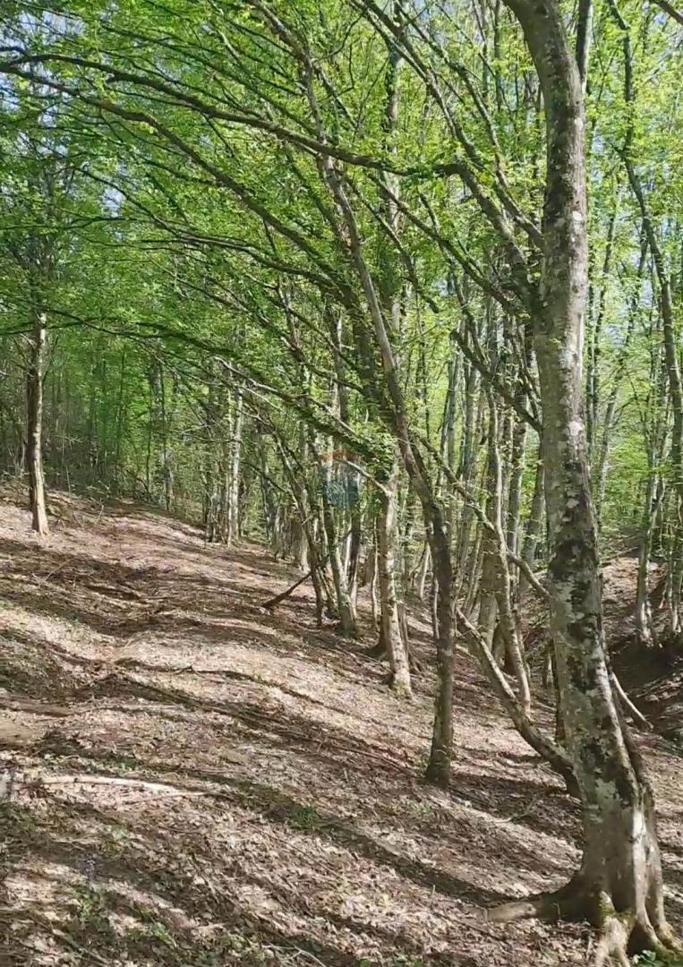 Stavbno zemljišče Gvozdansko, Dvor, 85.789m2