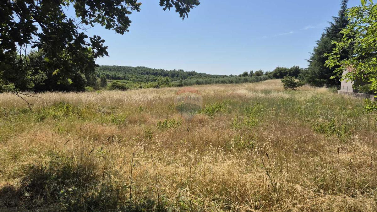 Stavbno zemljišče Višnjan, 5.029m2