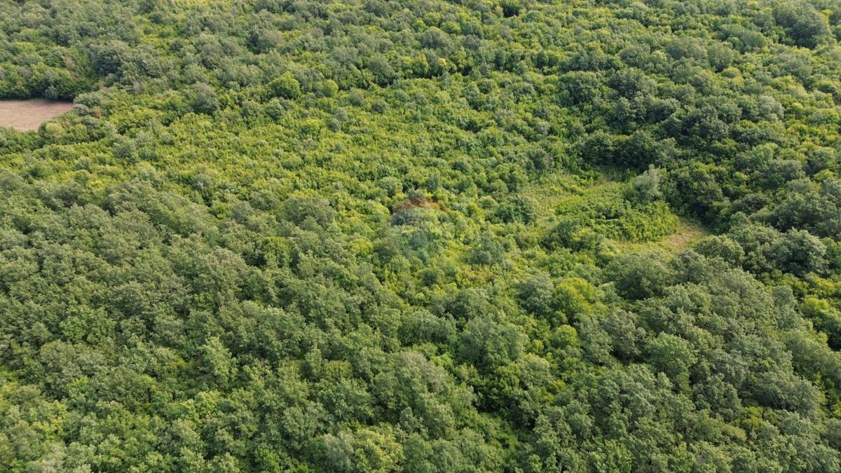 ISTRIA, LIM CANAL – Agricultural Land 1100 m²