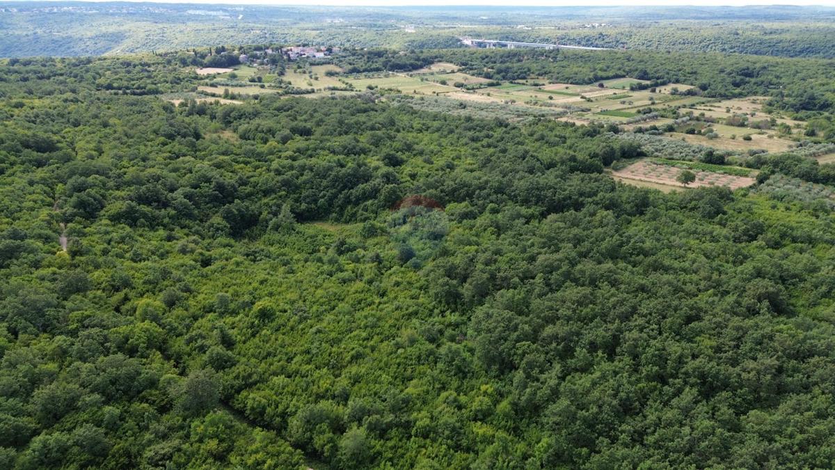 ИСТРИЯ, Лимский канал – Разделённый сельскохозяйственный участок 14 362 м² – 12 участков