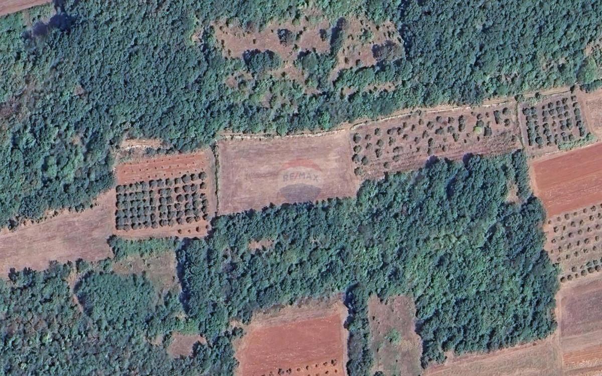 Stavbno zemljišče Baderna, Poreč, 4.863m2