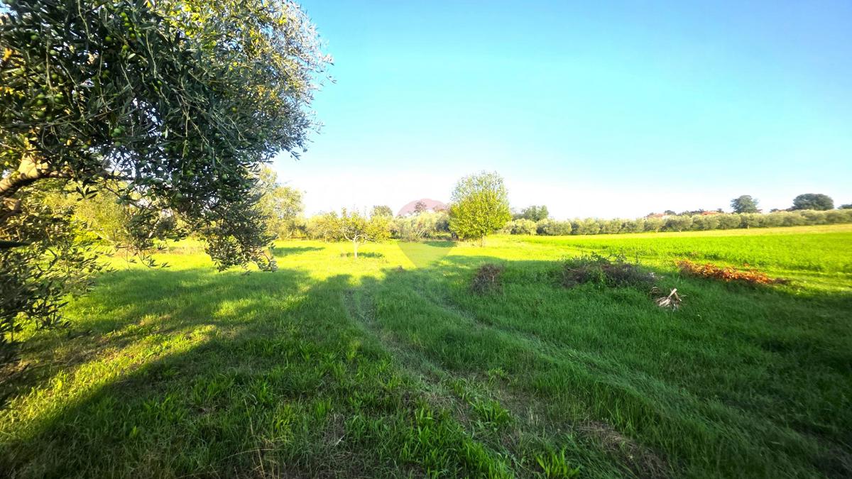 Hiša Lovrečica, Umag, 41m2