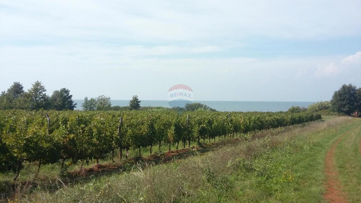 Stavbno zemljišče Lovrečica, Umag, 3.156m2